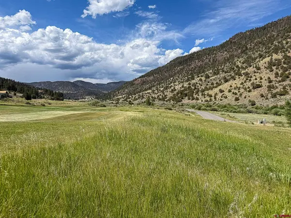 61 N Alder Creek Lane, South Fork, CO 81154