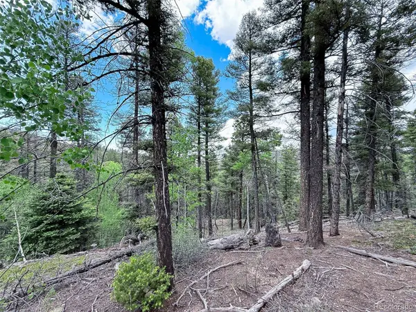 6031 Bruce RD, Fort Garland, CO 81133