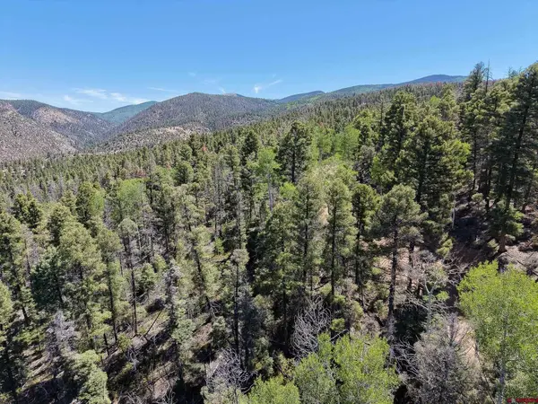 6031 Bruce Road, Fort Garland, CO 81133