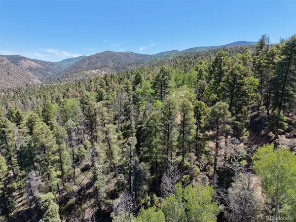 6031 Bruce RD, Fort Garland, CO 81133