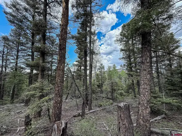 6031 Bruce Road, Fort Garland, CO 81133