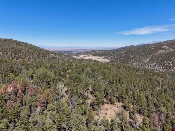 6031 Bruce Road, Fort Garland, CO 81133