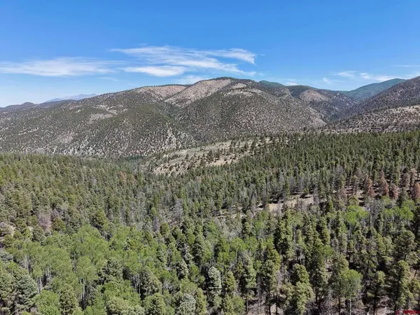 6031 Bruce Road, Fort Garland, CO 81133