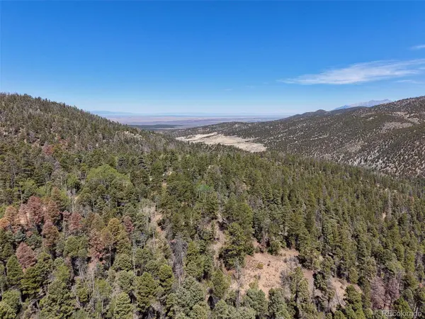 6031 Bruce RD, Fort Garland, CO 81133