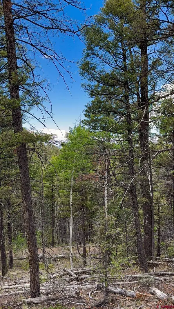 6031 Bruce Road, Fort Garland, CO 81133