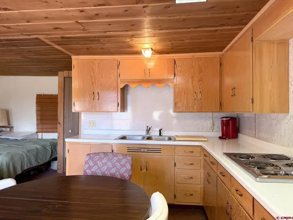 4100 USFS 515 Road #286, Creede, CO 81130