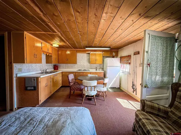 4100 USFS 515 Road #286, Creede, CO 81130