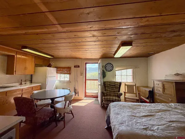 4100 USFS 515 Road #286, Creede, CO 81130