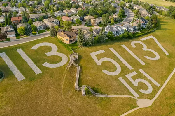 A Viewpoint on Life in Signal Hill