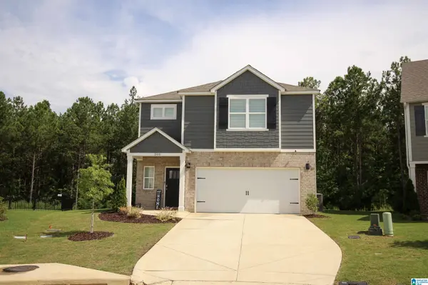 260 CHELSEA PARK CIRCLE, Chelsea, AL 35043