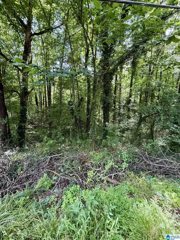 8215 BAKER AVENUE #4&5, Leeds, AL 35094