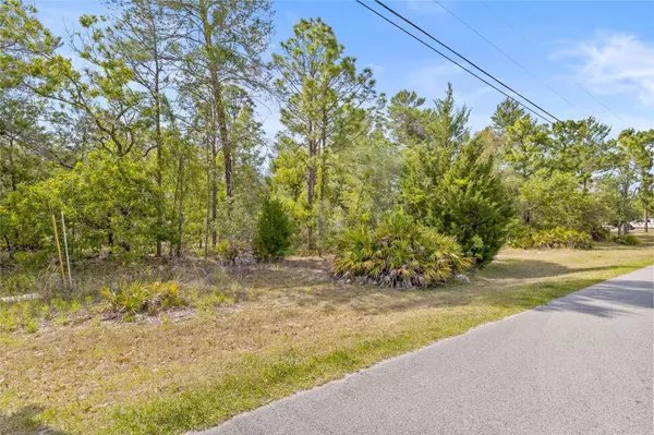 8459 MAZETTE RD, Weeki Wachee, FL 34613