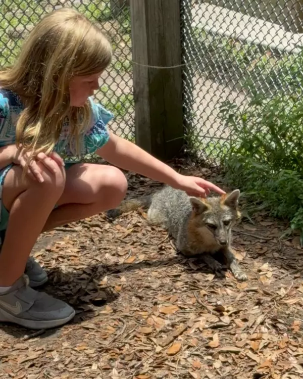 When Wildlife Needs You: How to Help Injured Animals and Support Orlando’s Lifesaving Refuge,Joseph Newstreet