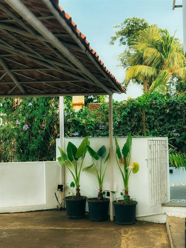 Rain-Ready Outdoor Living Ideas for Palmetto Bay and Miami Homes