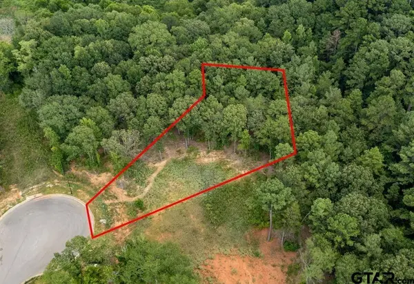 9299 Caddo Ridge Cv, Tyler, TX 75703