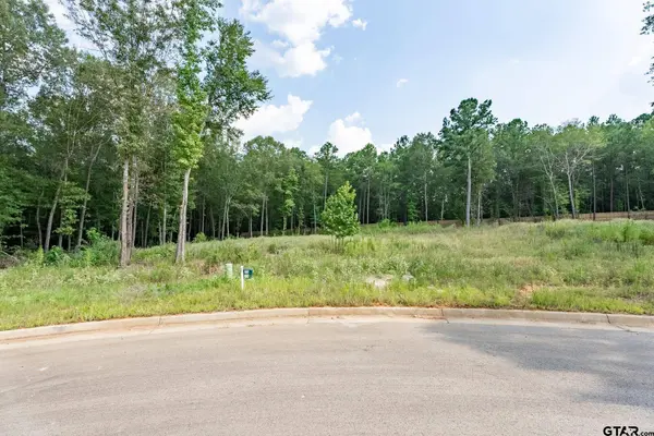 9299 Caddo Ridge Cv, Tyler, TX 75703