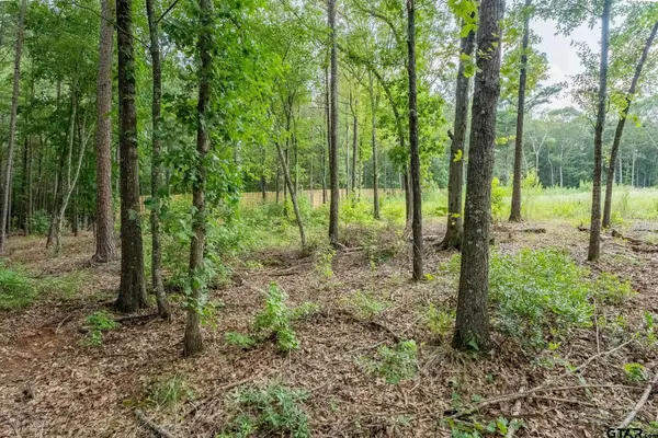 9299 Caddo Ridge Cv, Tyler, TX 75703