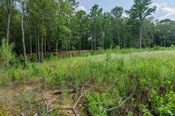 9299 Caddo Ridge Cv, Tyler, TX 75703