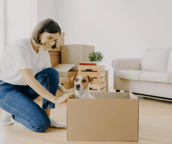 Moving with Pets? Here’s What You Need to Know About Living in Ottawa with Your Furry Friends,Listing Booth