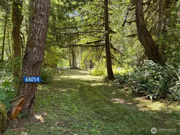 64054 E Cascade DR, Marblemount, WA 98267