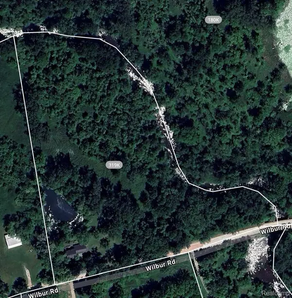 12910 Wilbur Road, Bridgewater Twp, MI 49236