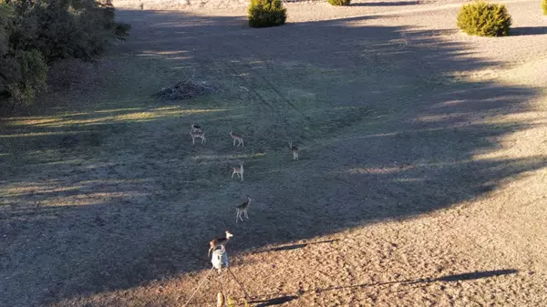 Tx,,Lot 27 County Road 3640 Coppers Cove