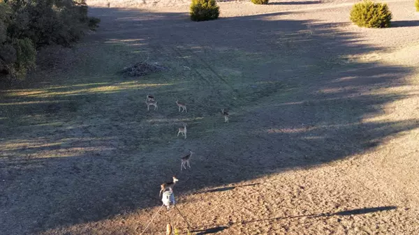 Lot 28 County Road 3640 Coppers Cove, Tx,