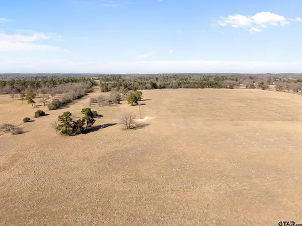 Lot 5 County Road 3689, Big Sandy, TX 75755