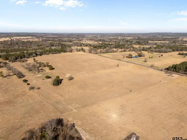 Lot 4 County Road 3689, Big Sandy, TX 75755