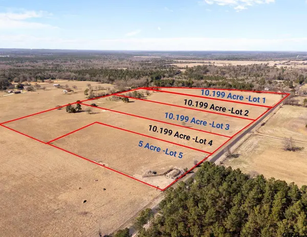 Lot 3 County Road 3689, Big Sandy, TX 75755