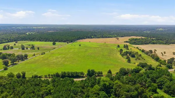 Lot 4 C R 3689, No City, TX 75755