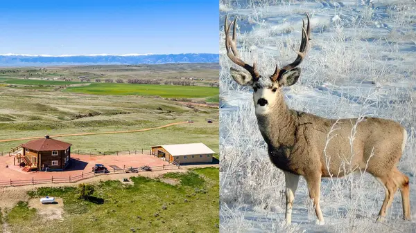 593 Lower Prairie Dog RD, Sheridan, WY 82801