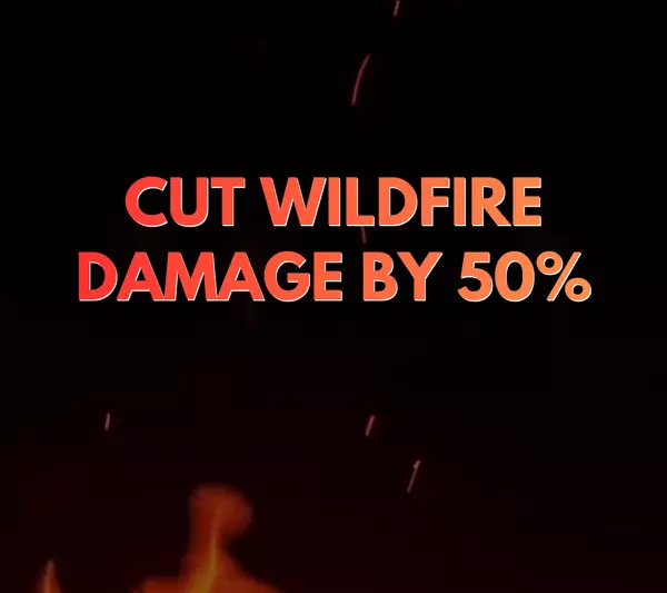 How California Communities Can Reduce Wildfire Damage by 50 Percent,Betty Torano