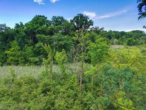 389 Opal CT, Streetsboro, OH 44241