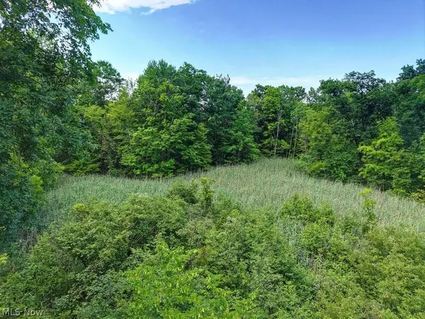 389 Opal CT, Streetsboro, OH 44241