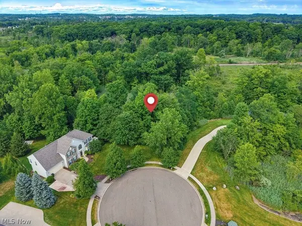 389 Opal CT, Streetsboro, OH 44241