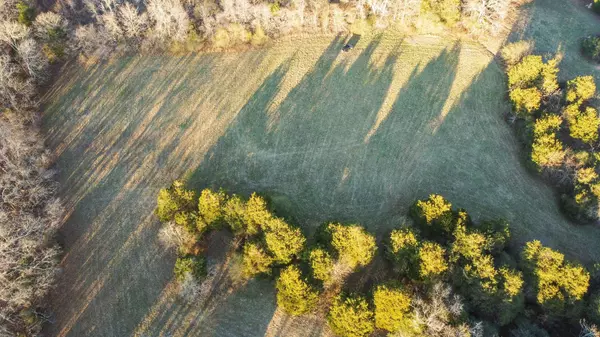 1000 Sendero Bad, Dickson, TN 37055