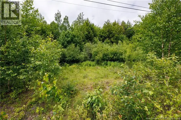 Lot Country Wood Lane, Richibucto Road, NB E3A0X7