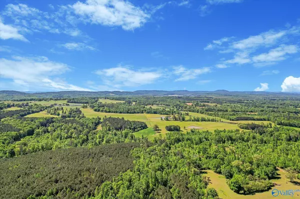 1657 Hamm Road, Blountsville, AL 35031