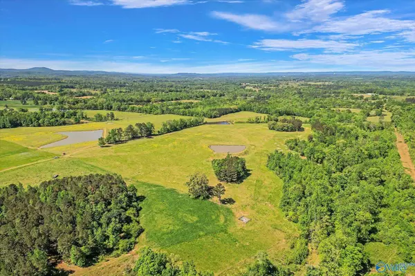 1657 Hamm Road, Blountsville, AL 35031