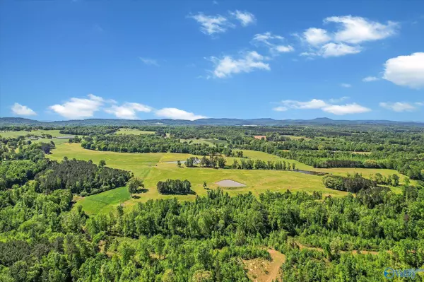 1657 Hamm Road, Blountsville, AL 35031