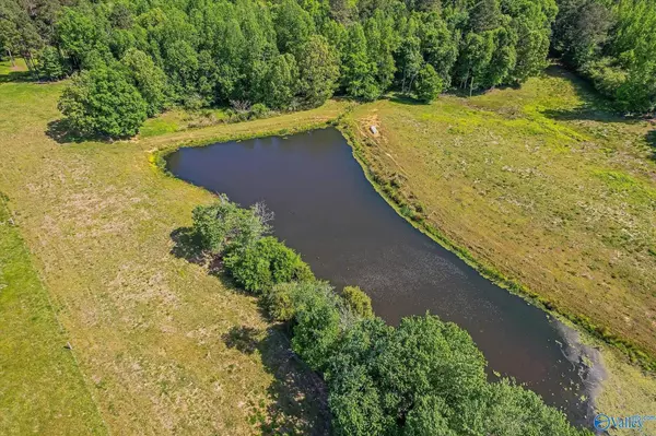 1657 Hamm Road, Blountsville, AL 35031