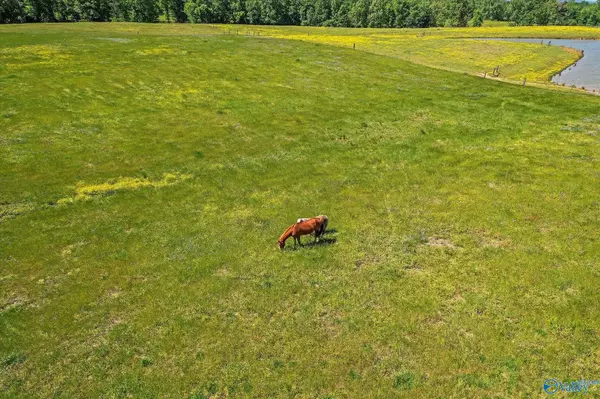 1657 Hamm Road, Blountsville, AL 35031