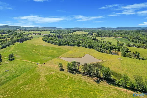 1657 Hamm Road, Blountsville, AL 35031