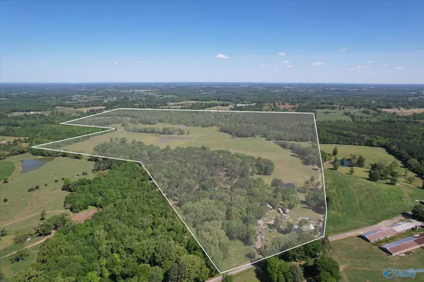 1657 Hamm Road, Blountsville, AL 35031