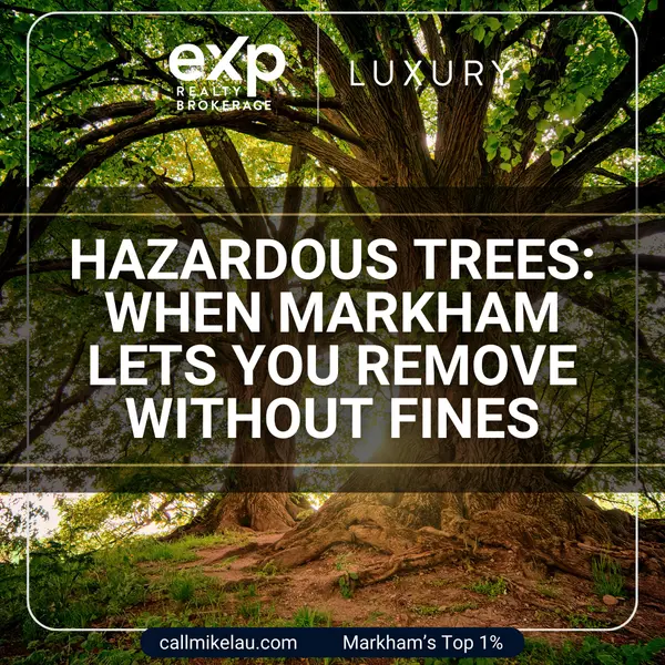 Hazardous Trees: When Markham Lets You Remove Without Fines,Michael Lau