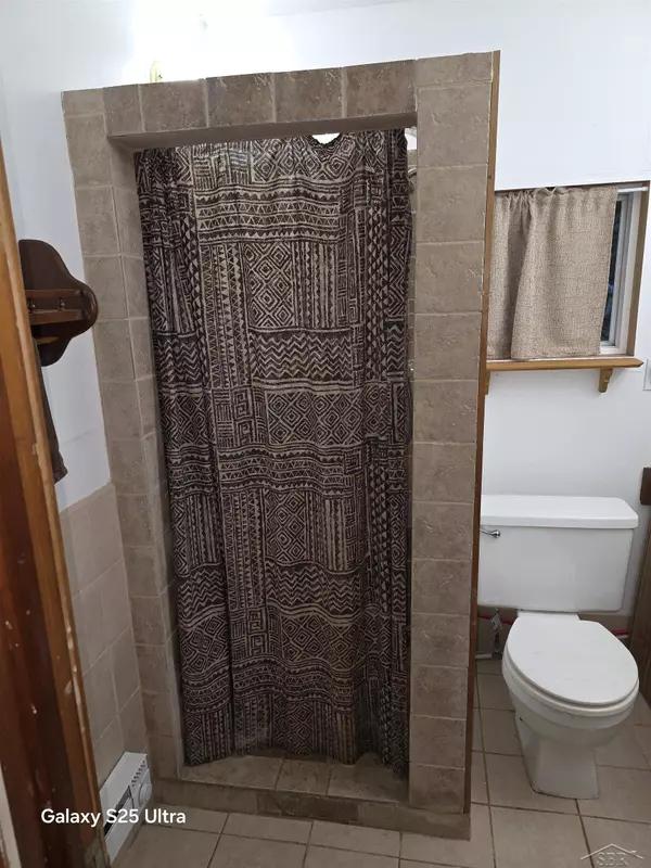 485 Bushong Beach Drive, Gladwin, MI 48624