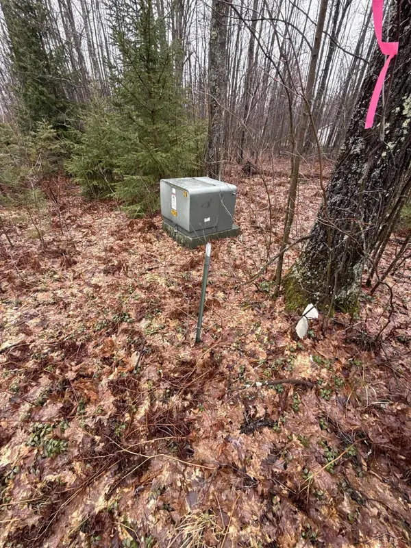 VL Camp Domino Trail, Hillman, MI 49746