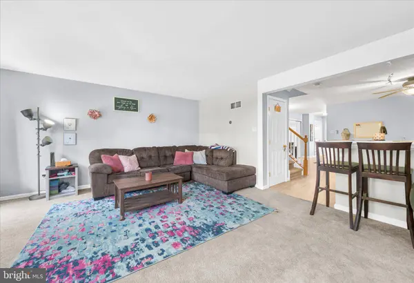 321 DOGWOOD ST, Bally, PA 19503