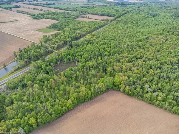 372 Highway 24, Brantford, ON N3T 5L5